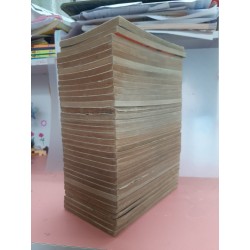 RAI (Trọn bộ 33 tập)