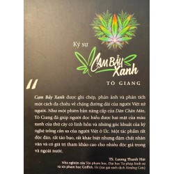 Cạm Bẫy Xanh