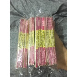 Thằng ngố thiên tài ( 17 / 23 tập)