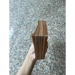 Tiểu thái bảo 9x (Trọn bộ 8 tập)