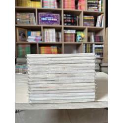 Sơn tặc Seyu (Trọn bộ 15 tập)