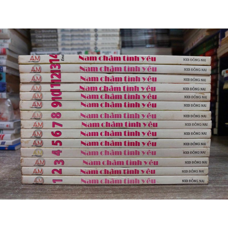 Nam châm tình yêu (Trọn bộ 14 tập)